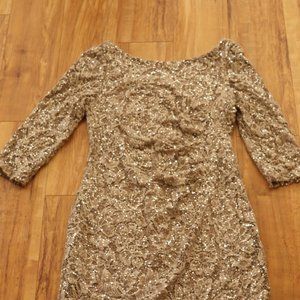 Scarlett Sparkle Lace Cocktail/Party Dress